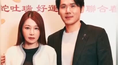 陈怡蓉或为老公事业危机复出！曾专心带娃7年零作品