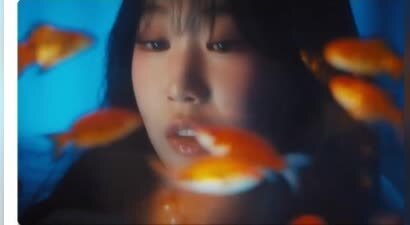 小沈阳全家用“美美桑内”头像，网友：还是东北人会花式宠娃