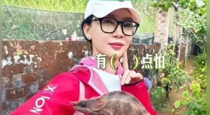 陈数怎么了？我的天，“23宗罪”都出来了...