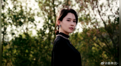 汪峰女友森林北发布严正声明，辟谣“森林北国际生态酒店”等投资项目