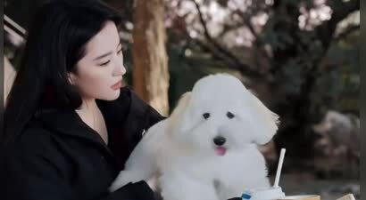 刘亦菲带狗狗一起现身美容院，与小狗形影不离画面温馨