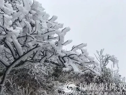 干货满满（经典古诗词摘抄）千古名句诗句 第2张