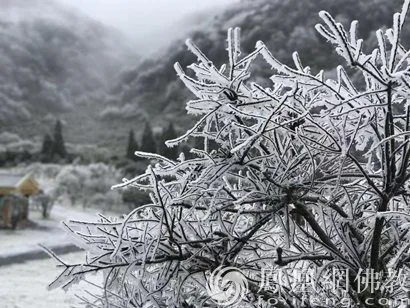 干货满满（经典古诗词摘抄）千古名句诗句 第3张