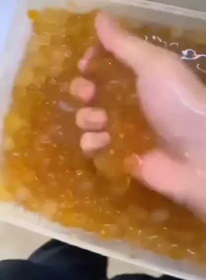 视频截图1.png