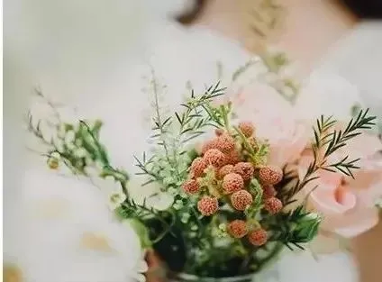 婚姻潜规则：你会和谁结婚，早就命中注定了（你会和谁结婚电视剧）
