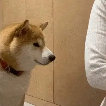 DNF：110怎么玩，韩服女鬼剑装备流派以及CP选择-游戏攻略礼包下载 安卓苹果手游排行榜 好游戏尽在春天手游网