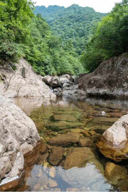 水战又起，江南贡泉进军上海引发“天然水”和“天然山泉水”之争