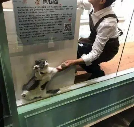 2019法定节假日已全部用完，网友：是时候开启年假了-2019年法定节日表大全