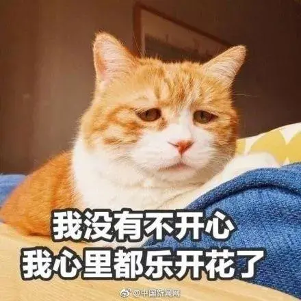2019法定节假日已全部用完，网友：是时候开启年假了-2019年法定节日表大全