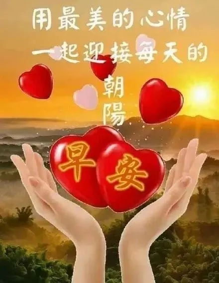 2019最新版阳光暖心早上好短信问候语录大全，朋友圈清晨问候大家早上好祝福语图片表情大全-早上好短信问候语大全19年