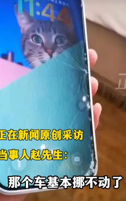 男子称哈啰车轮突然抱死导致人摔伤、苹果手机摔坏！平台只赔人伤 不赔物损