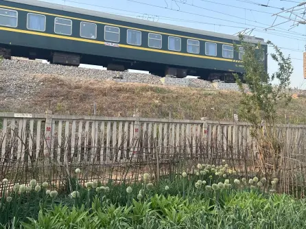 铁轨边的小菜园。