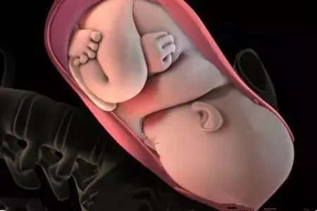 孩子是咋从那么窄的产道出生的？组图播放全过程，太心疼！(产道那么小,婴儿是怎么出来的呢?)