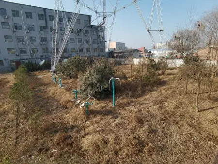 李金林昔日耕种的铁塔下的土地，如今杂草丛生。