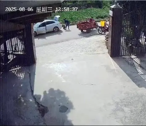 养了三十多年的鳄龟被过路司机抱走，主人恳求“不要杀它”，警方介入_https://www.izongheng.net_快讯_第2张
