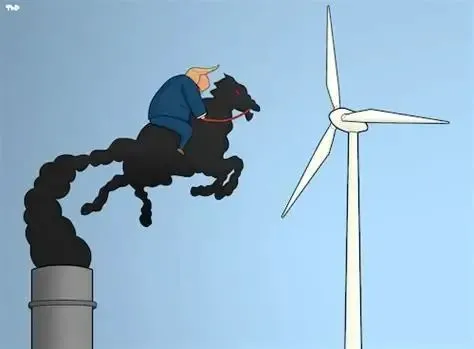 Don Quixote By Tjeerd Royaards | Nature Cartoon | TOONPOOL
