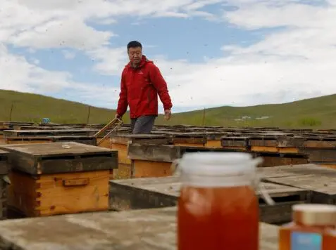 黄瓜加蜂蜜加温开水能减肥吗?蜂蜜水可以和黄瓜一起吃吗?-黄瓜和蜂蜜水能一起吃吗