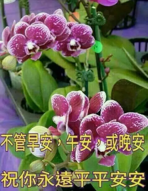 朋友圈问候大家早上好快乐的祝福语图片 好看的早上好动态祝福图片表情大全-大家早上好问侯语句