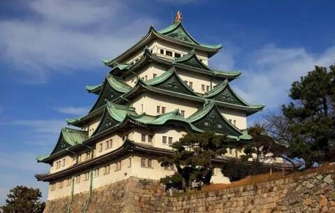 你的小蛙去了哪 我们从明信片跟踪到了它 凤凰时尚