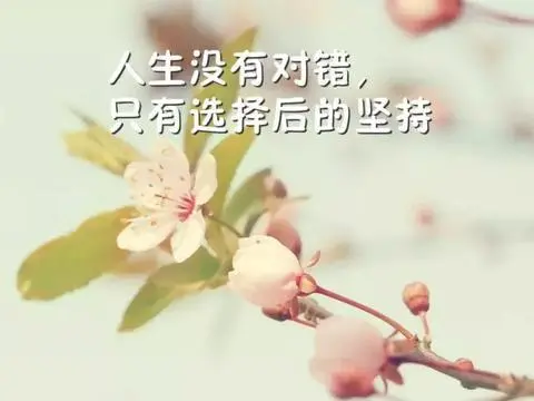 有哪些坑，寄宿考研辅导班里每一届考研人都躲不过？？？