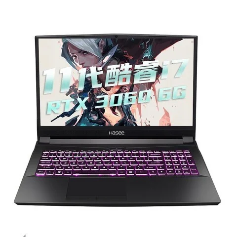 搭载NVIDIA GeForce RTX 3060笔记本电脑GPU 神舟战神TX8-CA7DP游戏本天猫促销-搭载骁龙8的手机有哪些