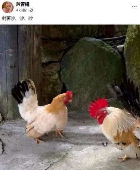 Sĸ罻Ϸ״̬