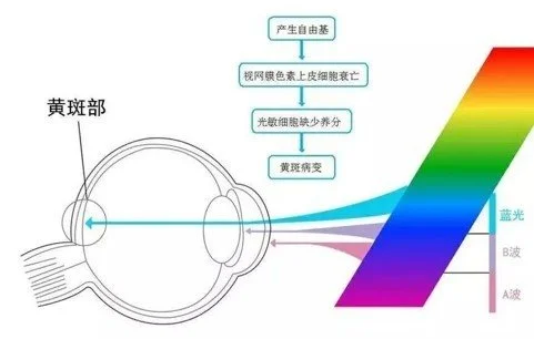 還在用電腦上網(wǎng)課？趕快解鎖投影大屏網(wǎng)課學(xué)習(xí)新方式