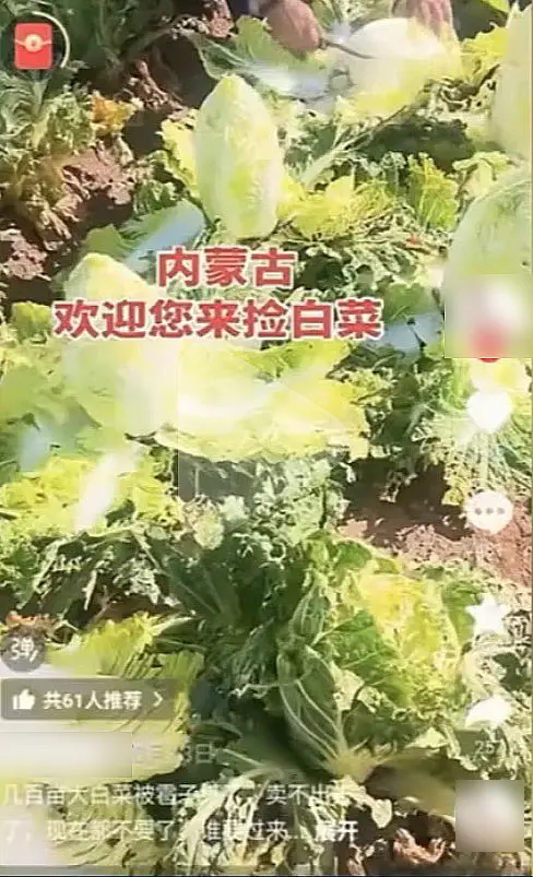 △网络视频截图