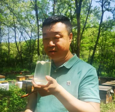 蜂蜜白茯苓面膜可以每天做吗？蜂蜜茯苓粉面膜的功效与作用？（蜂蜜白茯苓面膜敷多久）