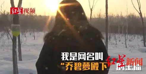 红星新闻头条号内容阅读超15亿，“红星速度”如何炼成？插图4