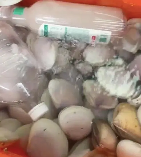 广东多地台风后现大量生蚝！专家紧急提醒_https://www.izongheng.net_快讯_第2张