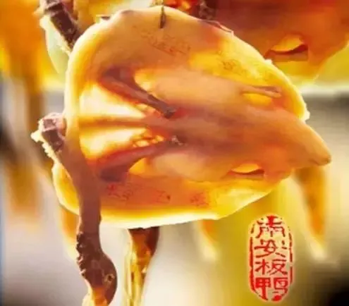 大余是哪个省的？已传疯，大余人都转起来！（大余县是江西哪里）