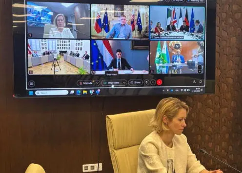 卡拉斯17日与欧洲国家代表据悉该视频会议 社交媒体