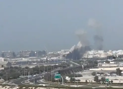 ������������Ϯ�����¸ù�6������141������