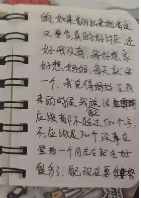 小佳总是在日记里提到妈妈/受访者供图