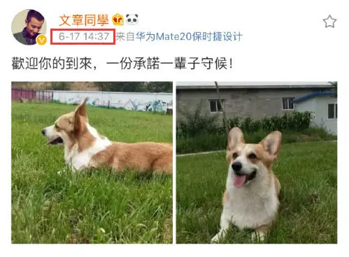 姚笛首次回应文章和马伊琍离婚，我结婚了，很幸福，余生会珍惜（明星姚笛和文章复合了吗）