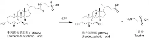 久银控股：源自中国古代典籍中的熊胆制品，会是新冠预防药物吗?