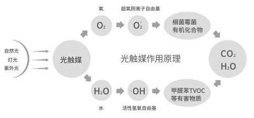 千晶记：手工制作、二维码、光触媒跨界融合的文创之路插图2