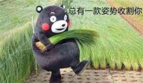 九月九日忆追高兄弟，兼评诺安成长基金-诺安成长混合320007天天基金净值多少