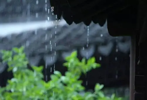 这都可以？（青草池塘处处蛙全诗）黄梅时节家家雨,青草池塘处处蛙出自哪首诗 第7张