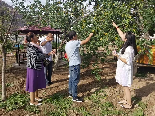 这样也行？（骗老人怀孕了会怎么样）骗老人家钱会有刑事责任吗 第18张