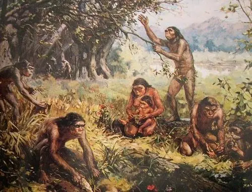 29年发现的北京猿人是谁？科学家还没给出结论-发现北京猿人的人是谁