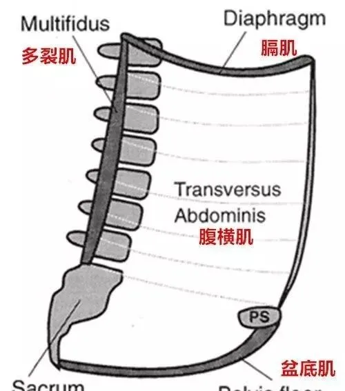 什么时间是产后恢复的最佳时期？有哪些必须要做的产后修复训练？-产后恢复的最佳时期你知道吗?