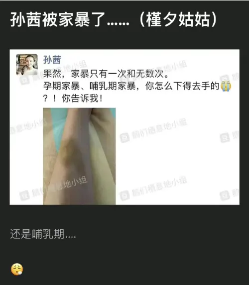 “槿汐姑姑”孙茜被曝遭家暴,疑朋友圈晒受伤照,控诉孕期遭殴打