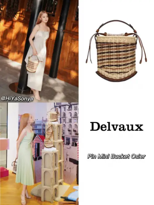 Delvaux是什么牌子 今日份的“包治百病”推荐