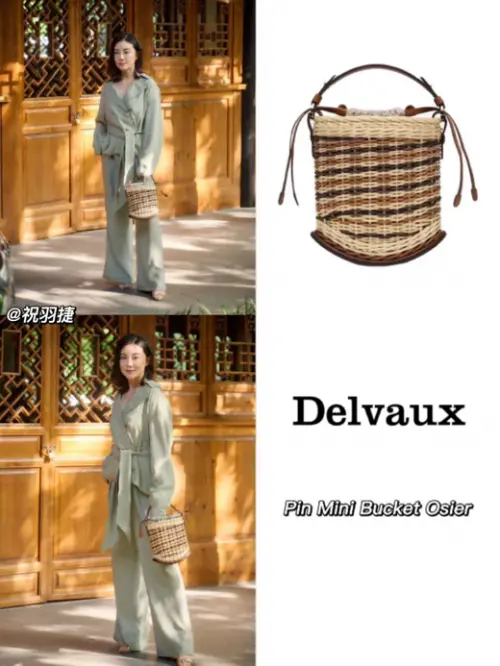 Delvaux是什么牌子 今日份的“包治百病”推荐