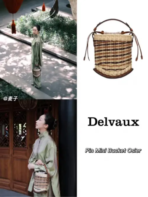 Delvaux是什么牌子 今日份的“包治百病”推荐