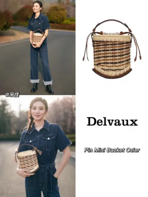 Delvaux是什么牌子 今日份的“包治百病”推荐