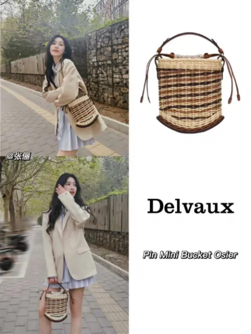 Delvaux是什么牌子 今日份的“包治百病”推荐