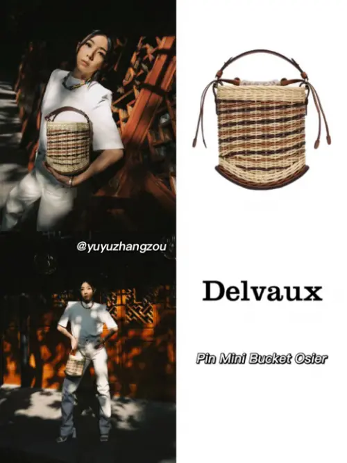 Delvaux是什么牌子 今日份的“包治百病”推荐